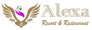 company logo here
